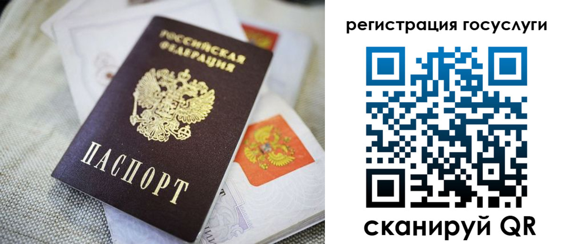 прописка гарантия в Александрове